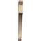 Ekena Millwork Westlake Slat Smooth Bracket, Douglas Fir, 3 1/2"W x 38"D x 38"H BKT04X38X38WTL06SDF - alternate 2